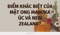 Mật Ong Manuka - Sự Khác Nhau Giữa Mật Ong Từ Xứ Sở Chuột Túi Và Chim Kiwi