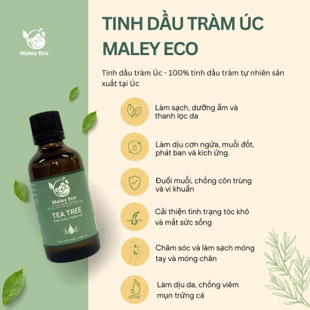 Tinh dầu tràm trà nguyên chất 100% chăm sóc da đầu - Giải pháp làm sạch tự nhiên MALEY ECO