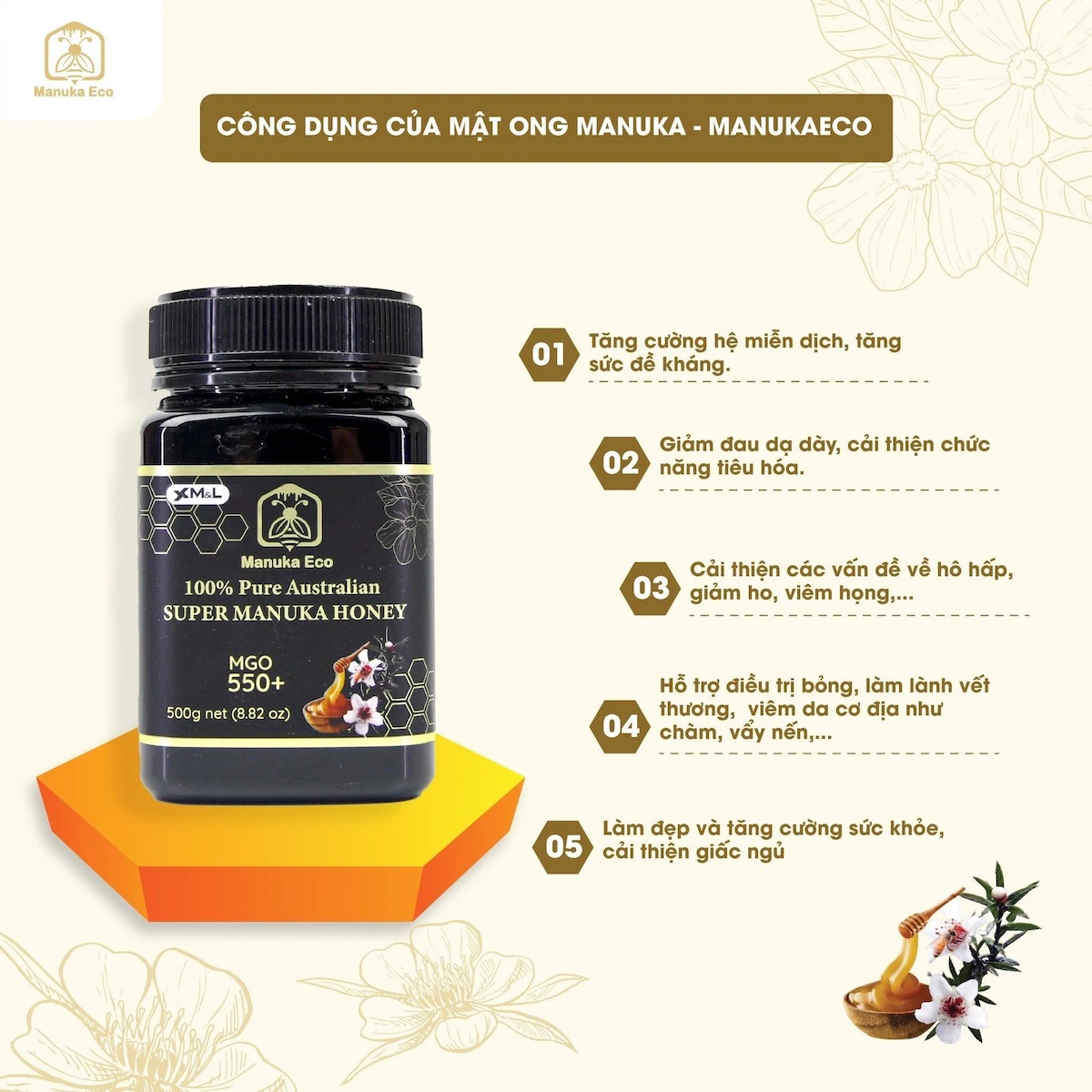  Mật ong Manuka Eco MGO 550 +  Kháng viêm, tăng đề kháng, cải thiện hệ tiêu hoá - Nhập khẩu chính hãng từ Australia 